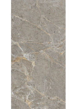 Керамогранит Arcadia Ceramica Royal Grey 60x120 GI