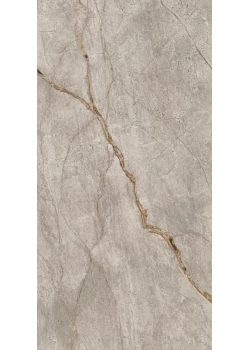 Керамогранит Atlas Concorde Empire Silver Root 60x120