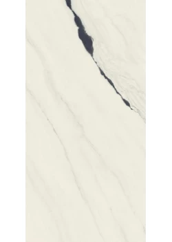 Керамогранит Atlas Concorde Forte dei Marmi Panda White 60x120 Cer