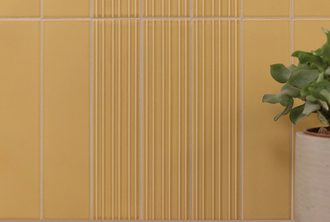 Equipe Lumina