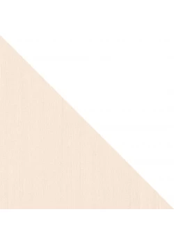 Плитка Italon Element Neve Edge 24x24