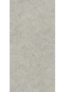 Керамогранит Italon Forum Stone Silver 60x120
