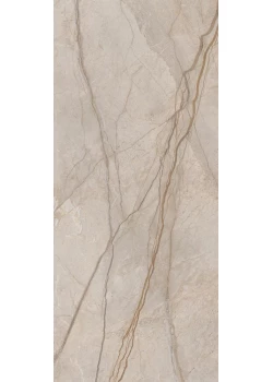 Керамогранит Italon Stellaris Elegant Silver 120x278