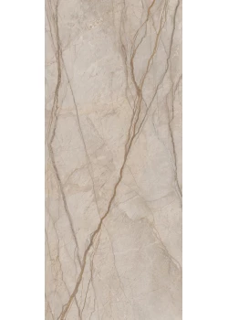 Керамогранит Italon Stellaris Elegant Silver 120x278