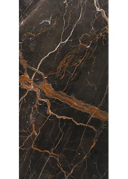 Керамогранит Prissmacer Vanity Brown 60x120 Polished