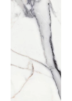 Керамогранит Rex Les Origines De Rex Argent 60x120 Glossy