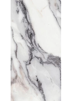 Керамогранит Rex Les Origines De Rex Argent 60x120 Glossy (6 mm)