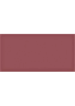 Плитка Vives Corso Burdeos 10x20