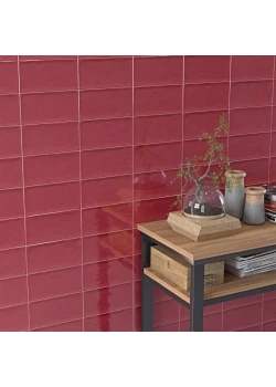 Плитка Vives Etnia Marsala 10x20